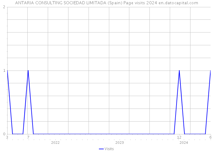 ANTARIA CONSULTING SOCIEDAD LIMITADA (Spain) Page visits 2024 