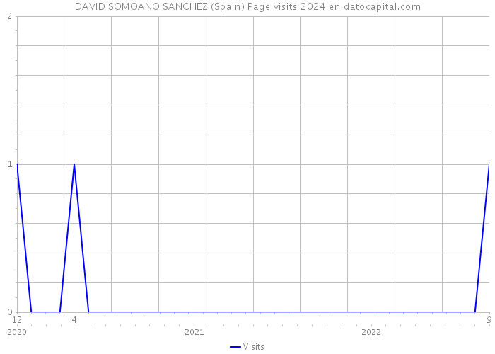 DAVID SOMOANO SANCHEZ (Spain) Page visits 2024 