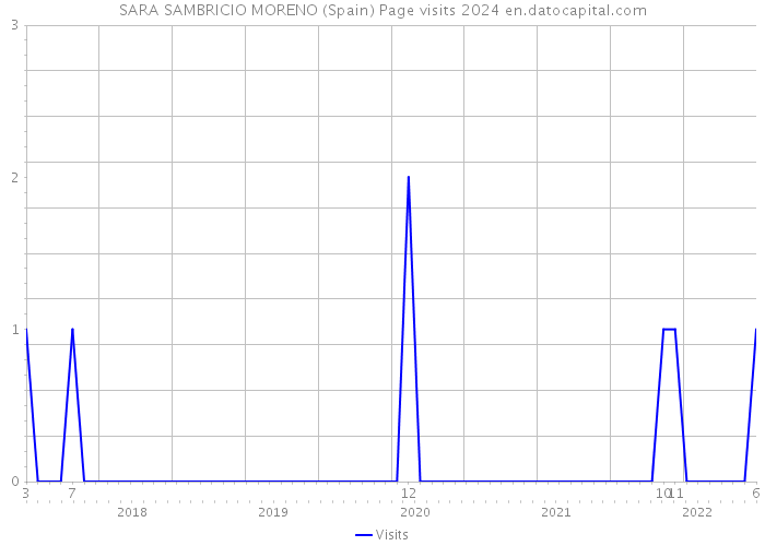 SARA SAMBRICIO MORENO (Spain) Page visits 2024 