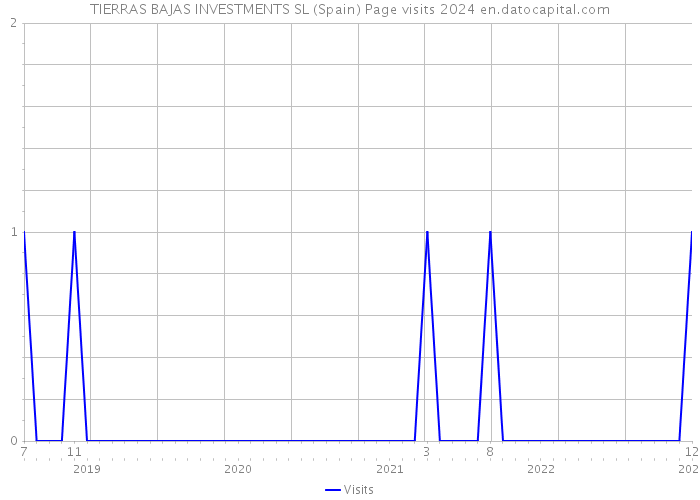 TIERRAS BAJAS INVESTMENTS SL (Spain) Page visits 2024 