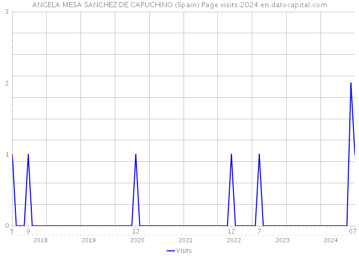 ANGELA MESA SANCHEZ DE CAPUCHINO (Spain) Page visits 2024 