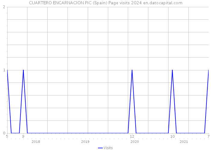 CUARTERO ENCARNACION PIC (Spain) Page visits 2024 