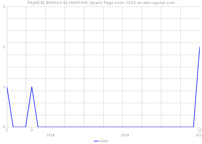 RAJAE EL BARAKA EL HAMYANI (Spain) Page visits 2024 