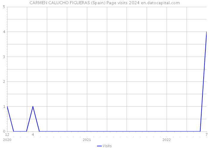 CARMEN CALUCHO FIGUERAS (Spain) Page visits 2024 