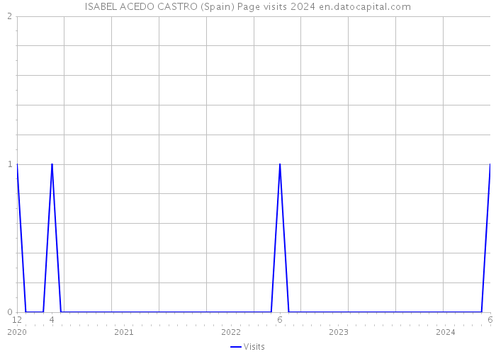 ISABEL ACEDO CASTRO (Spain) Page visits 2024 