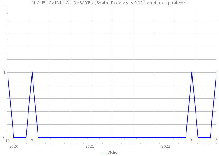 MIGUEL CALVILLO URABAYEN (Spain) Page visits 2024 