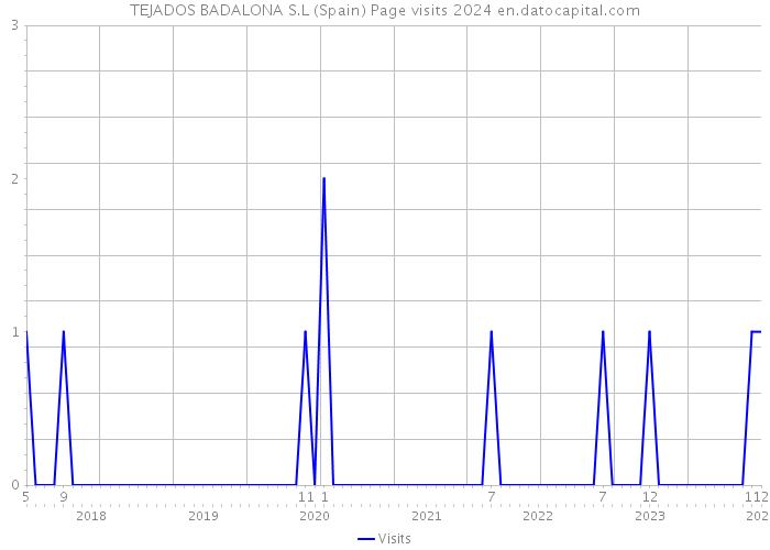 TEJADOS BADALONA S.L (Spain) Page visits 2024 