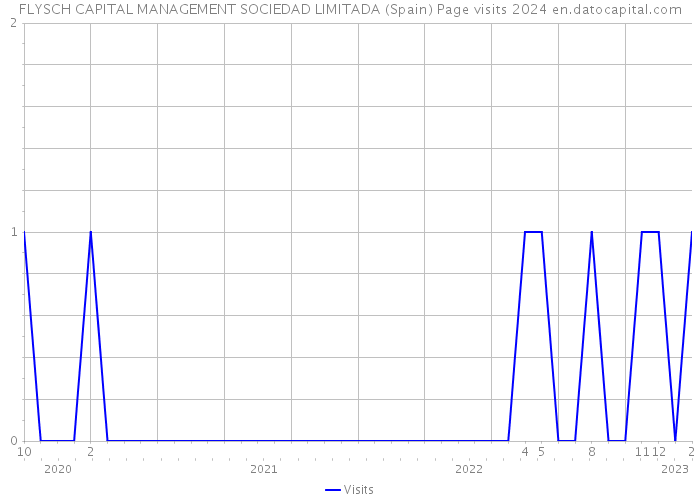 FLYSCH CAPITAL MANAGEMENT SOCIEDAD LIMITADA (Spain) Page visits 2024 