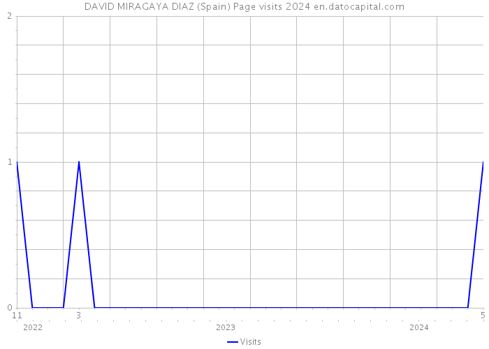 DAVID MIRAGAYA DIAZ (Spain) Page visits 2024 