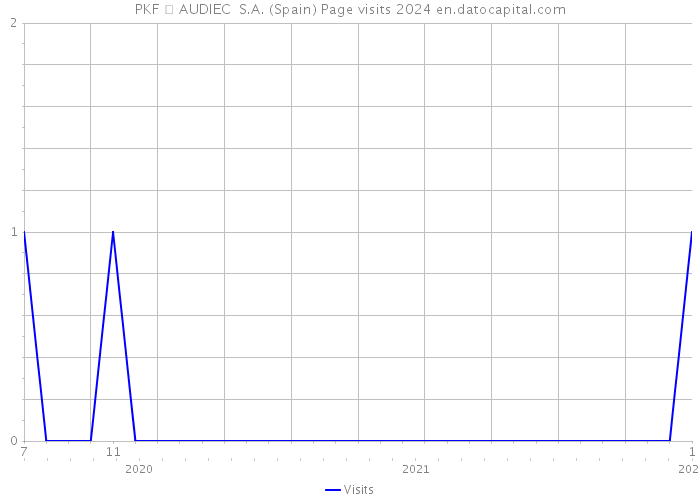 PKF  AUDIEC S.A. (Spain) Page visits 2024 