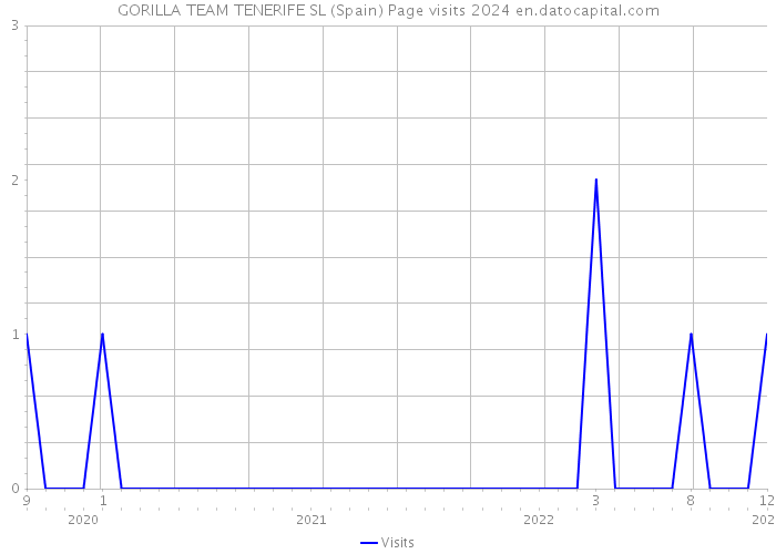 GORILLA TEAM TENERIFE SL (Spain) Page visits 2024 