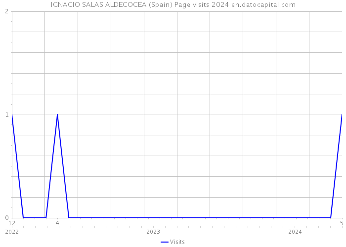 IGNACIO SALAS ALDECOCEA (Spain) Page visits 2024 