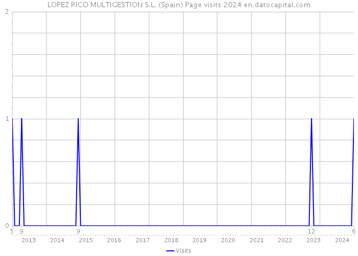 LOPEZ RICO MULTIGESTION S.L. (Spain) Page visits 2024 