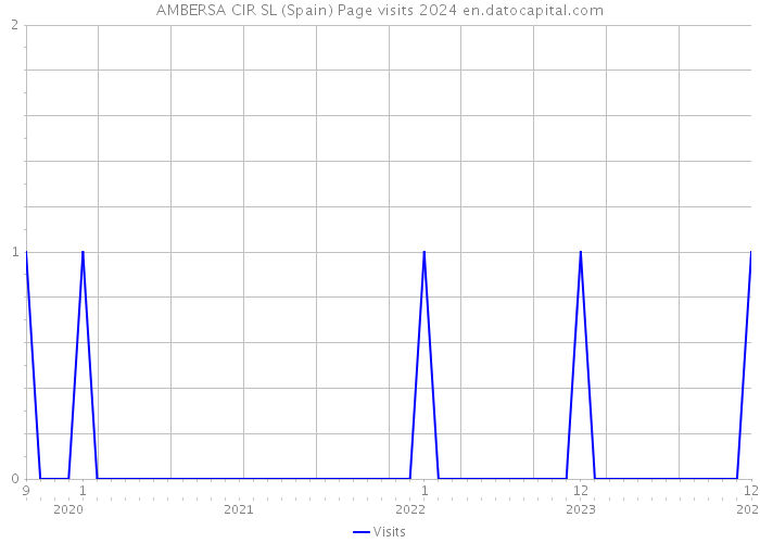 AMBERSA CIR SL (Spain) Page visits 2024 