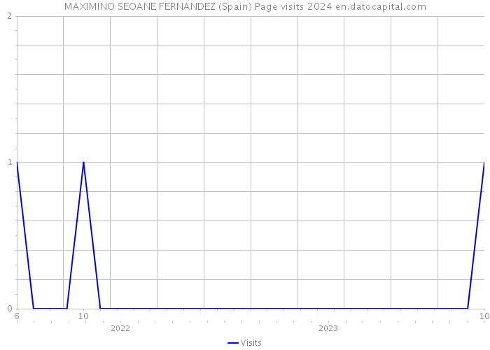MAXIMINO SEOANE FERNANDEZ (Spain) Page visits 2024 
