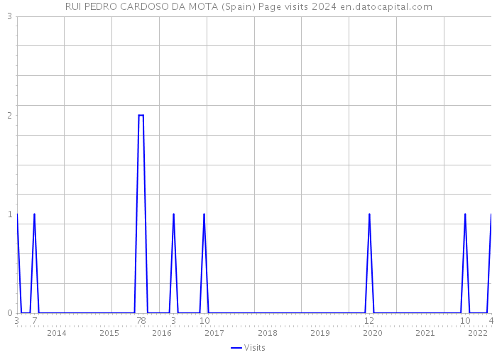 RUI PEDRO CARDOSO DA MOTA (Spain) Page visits 2024 