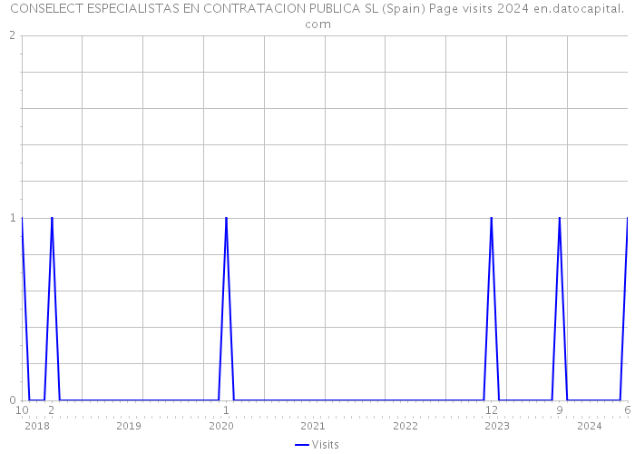 CONSELECT ESPECIALISTAS EN CONTRATACION PUBLICA SL (Spain) Page visits 2024 