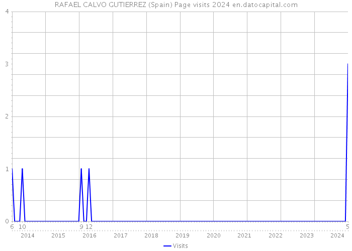 RAFAEL CALVO GUTIERREZ (Spain) Page visits 2024 