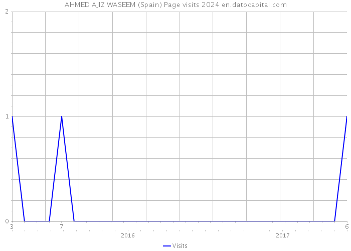 AHMED AJIZ WASEEM (Spain) Page visits 2024 