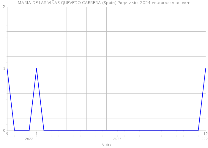 MARIA DE LAS VIÑAS QUEVEDO CABRERA (Spain) Page visits 2024 