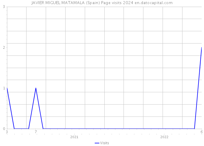 JAVIER MIGUEL MATAMALA (Spain) Page visits 2024 