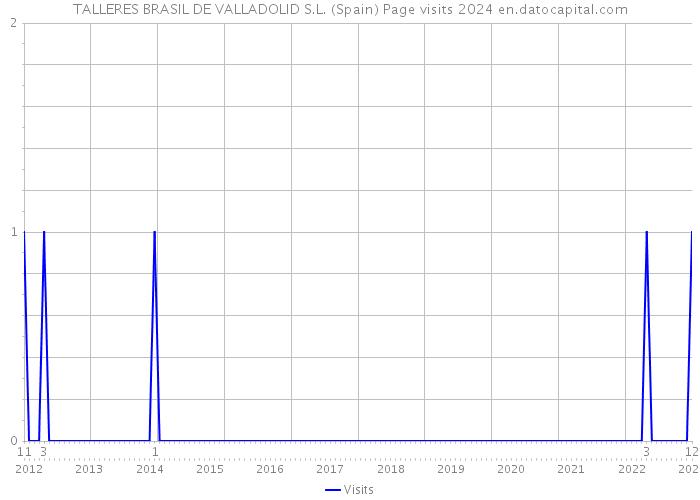 TALLERES BRASIL DE VALLADOLID S.L. (Spain) Page visits 2024 