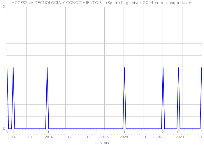 ACCESSUM TECNOLOGIA Y CONOCIMIENTO SL. (Spain) Page visits 2024 