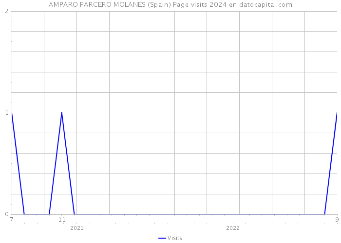 AMPARO PARCERO MOLANES (Spain) Page visits 2024 