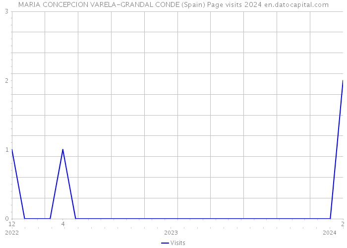 MARIA CONCEPCION VARELA-GRANDAL CONDE (Spain) Page visits 2024 