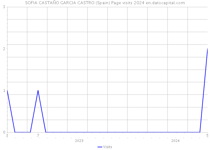 SOFIA CASTAÑO GARCIA CASTRO (Spain) Page visits 2024 