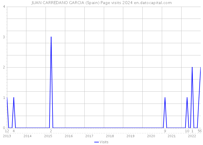 JUAN CARREDANO GARCIA (Spain) Page visits 2024 