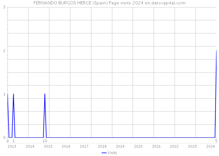 FERNANDO BURGOS HERCE (Spain) Page visits 2024 
