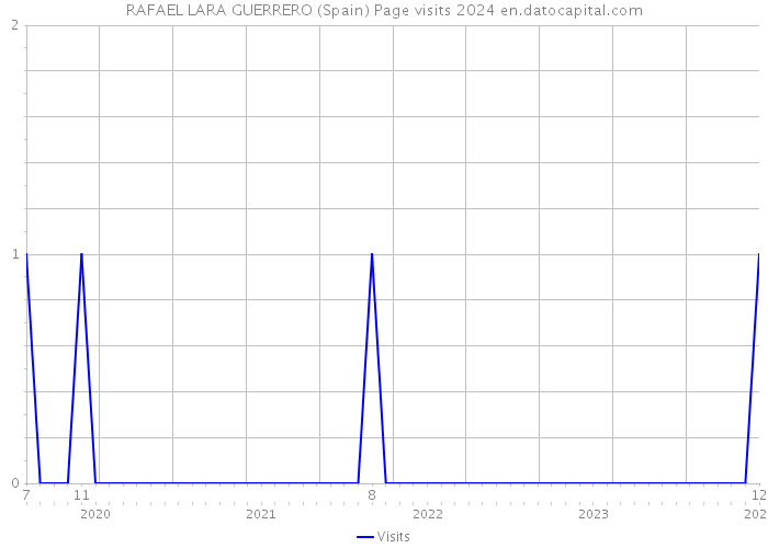 RAFAEL LARA GUERRERO (Spain) Page visits 2024 