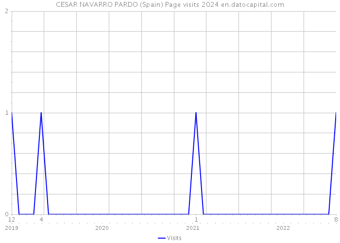 CESAR NAVARRO PARDO (Spain) Page visits 2024 