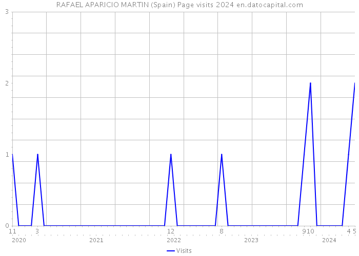 RAFAEL APARICIO MARTIN (Spain) Page visits 2024 