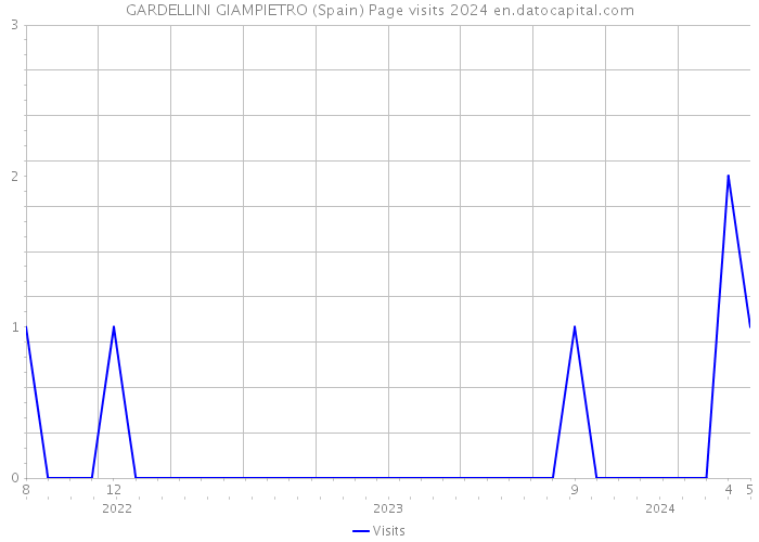 GARDELLINI GIAMPIETRO (Spain) Page visits 2024 