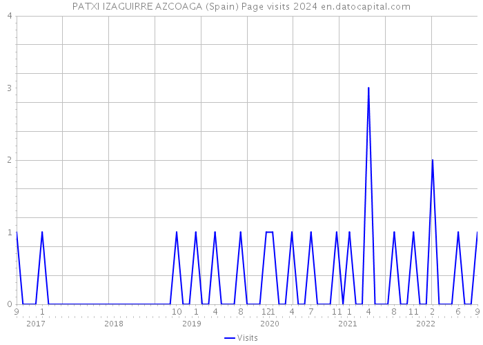 PATXI IZAGUIRRE AZCOAGA (Spain) Page visits 2024 