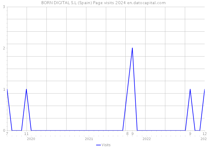 BORN DIGITAL S.L (Spain) Page visits 2024 