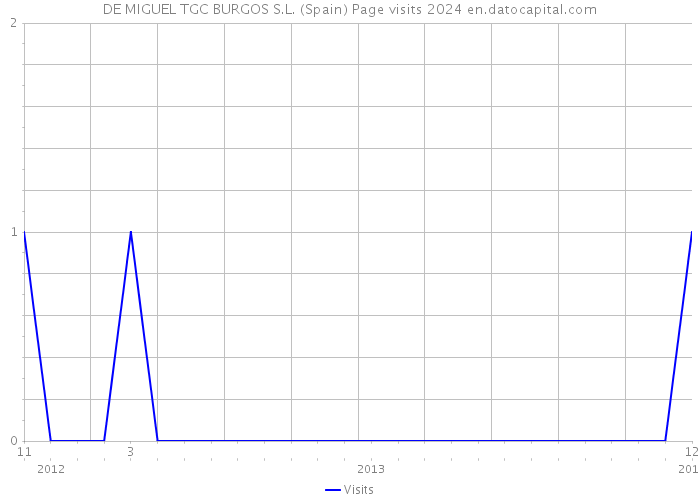DE MIGUEL TGC BURGOS S.L. (Spain) Page visits 2024 