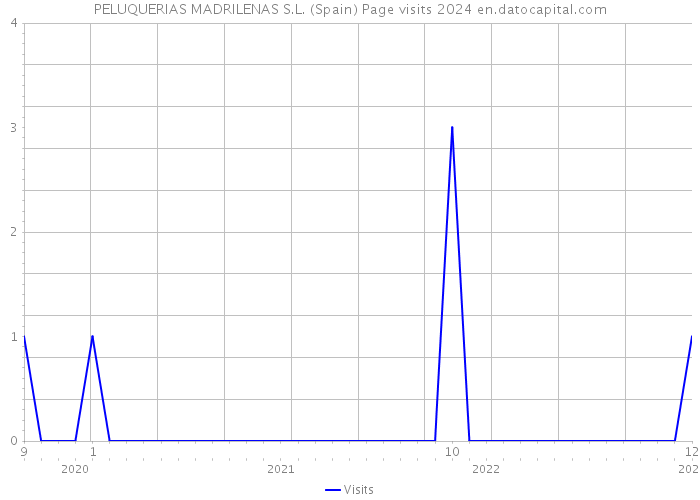 PELUQUERIAS MADRILENAS S.L. (Spain) Page visits 2024 