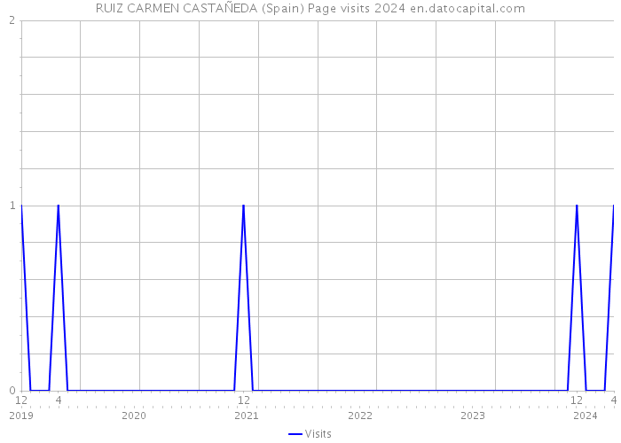 RUIZ CARMEN CASTAÑEDA (Spain) Page visits 2024 