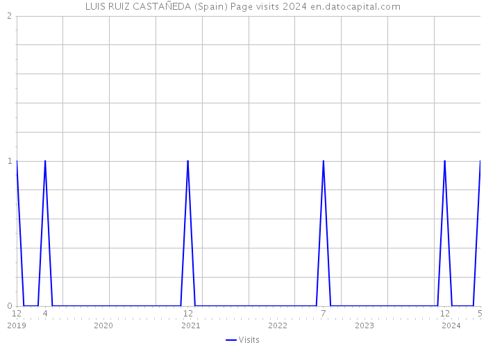 LUIS RUIZ CASTAÑEDA (Spain) Page visits 2024 