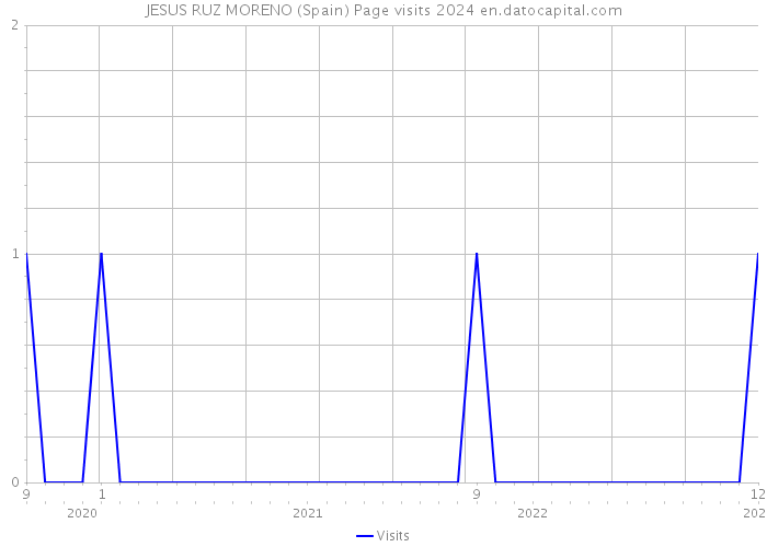 JESUS RUZ MORENO (Spain) Page visits 2024 