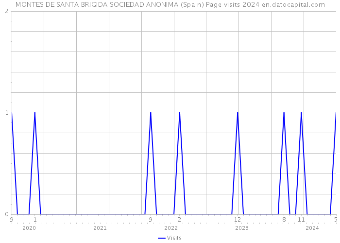 MONTES DE SANTA BRIGIDA SOCIEDAD ANONIMA (Spain) Page visits 2024 