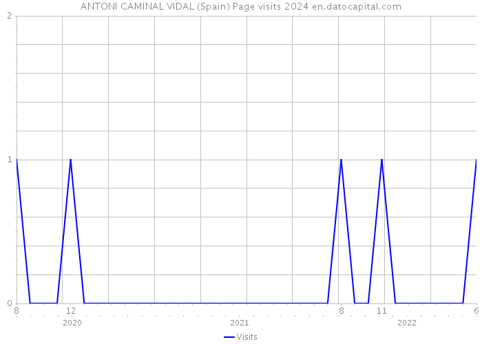 ANTONI CAMINAL VIDAL (Spain) Page visits 2024 
