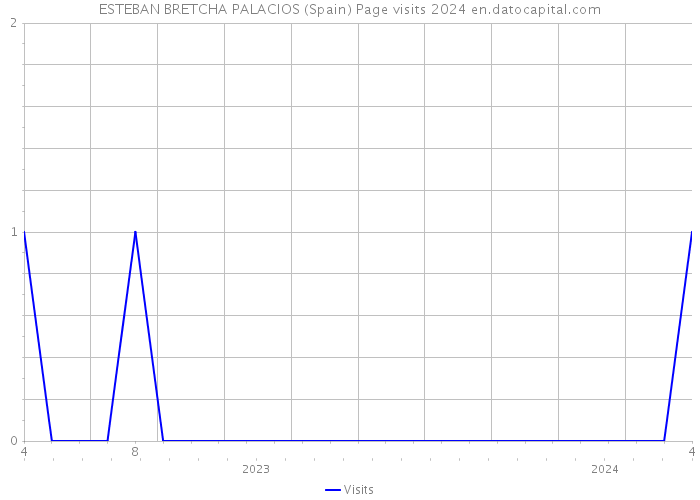 ESTEBAN BRETCHA PALACIOS (Spain) Page visits 2024 