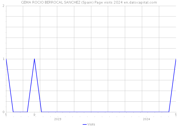 GEMA ROCIO BERROCAL SANCHEZ (Spain) Page visits 2024 