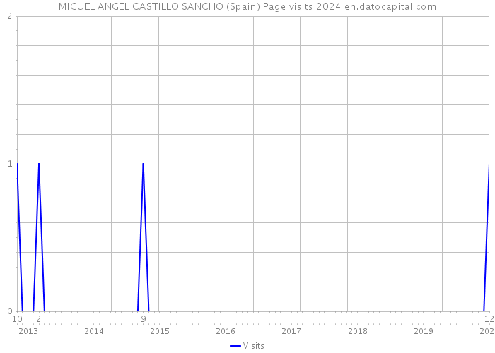 MIGUEL ANGEL CASTILLO SANCHO (Spain) Page visits 2024 