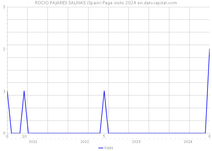 ROCIO PAJARES SALINAS (Spain) Page visits 2024 