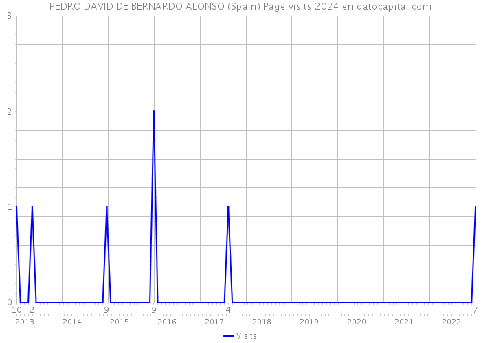PEDRO DAVID DE BERNARDO ALONSO (Spain) Page visits 2024 